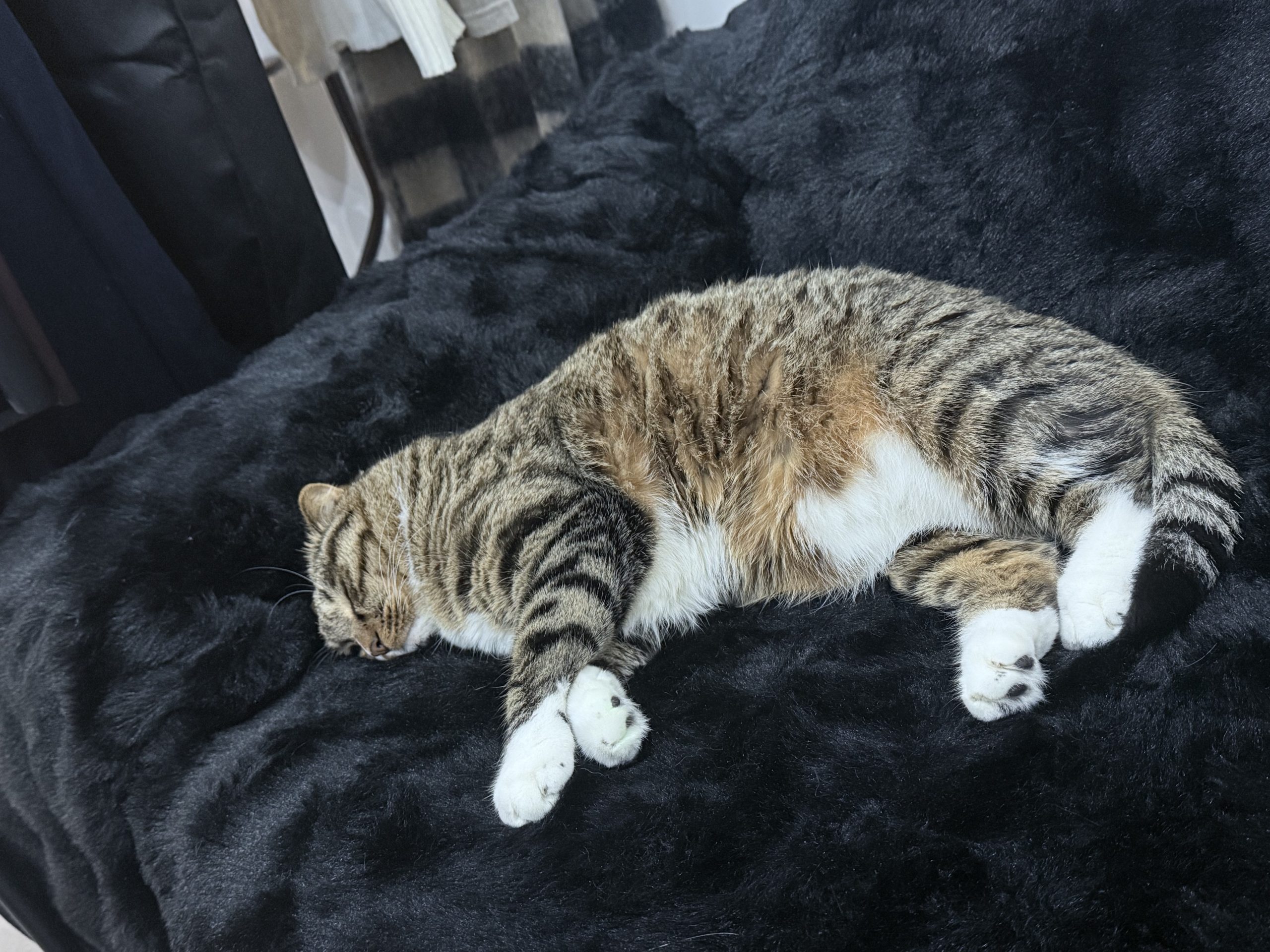 00acf47d1db0c37254e71c201320e68