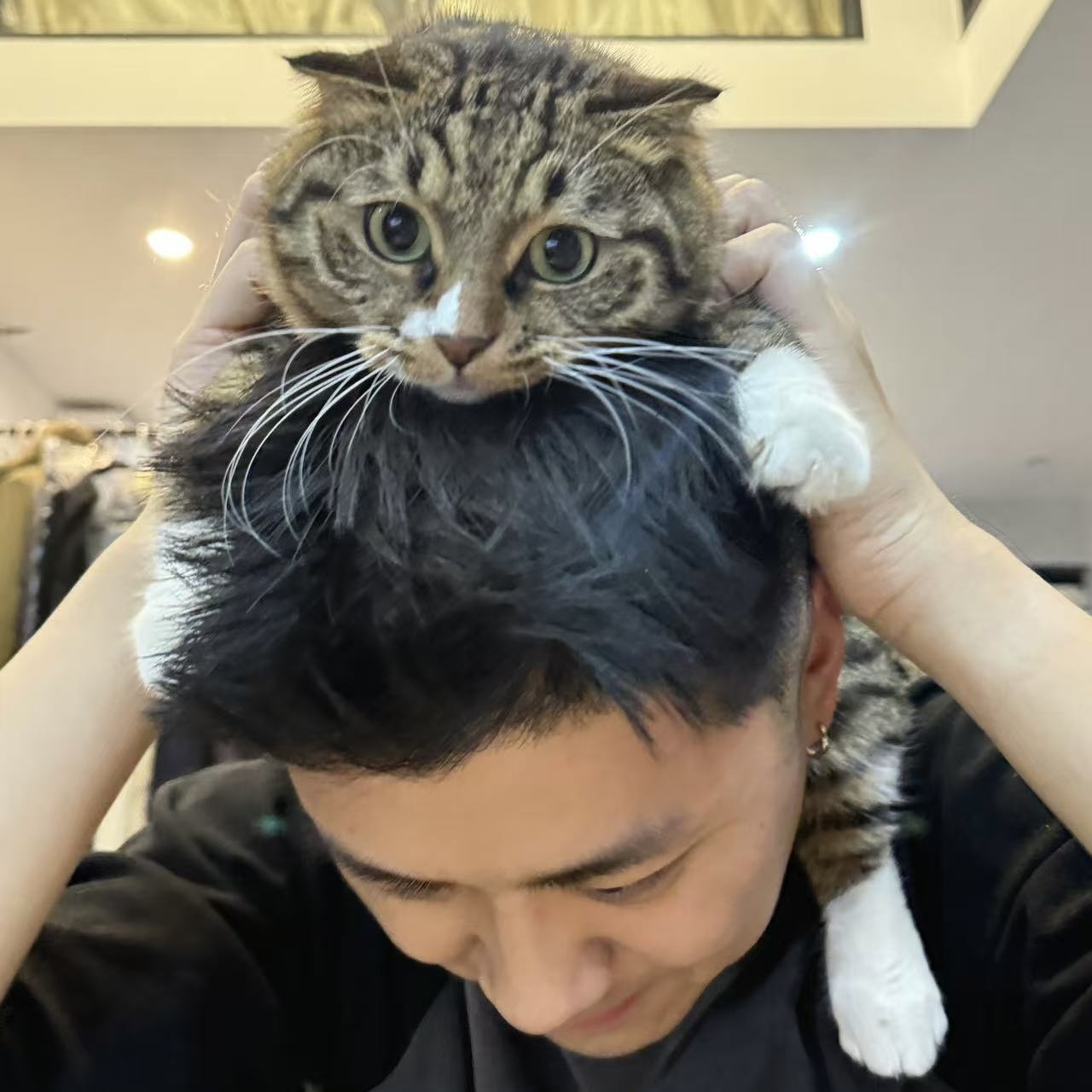 ba67994f8e95e75fa72a2f68325c7a0