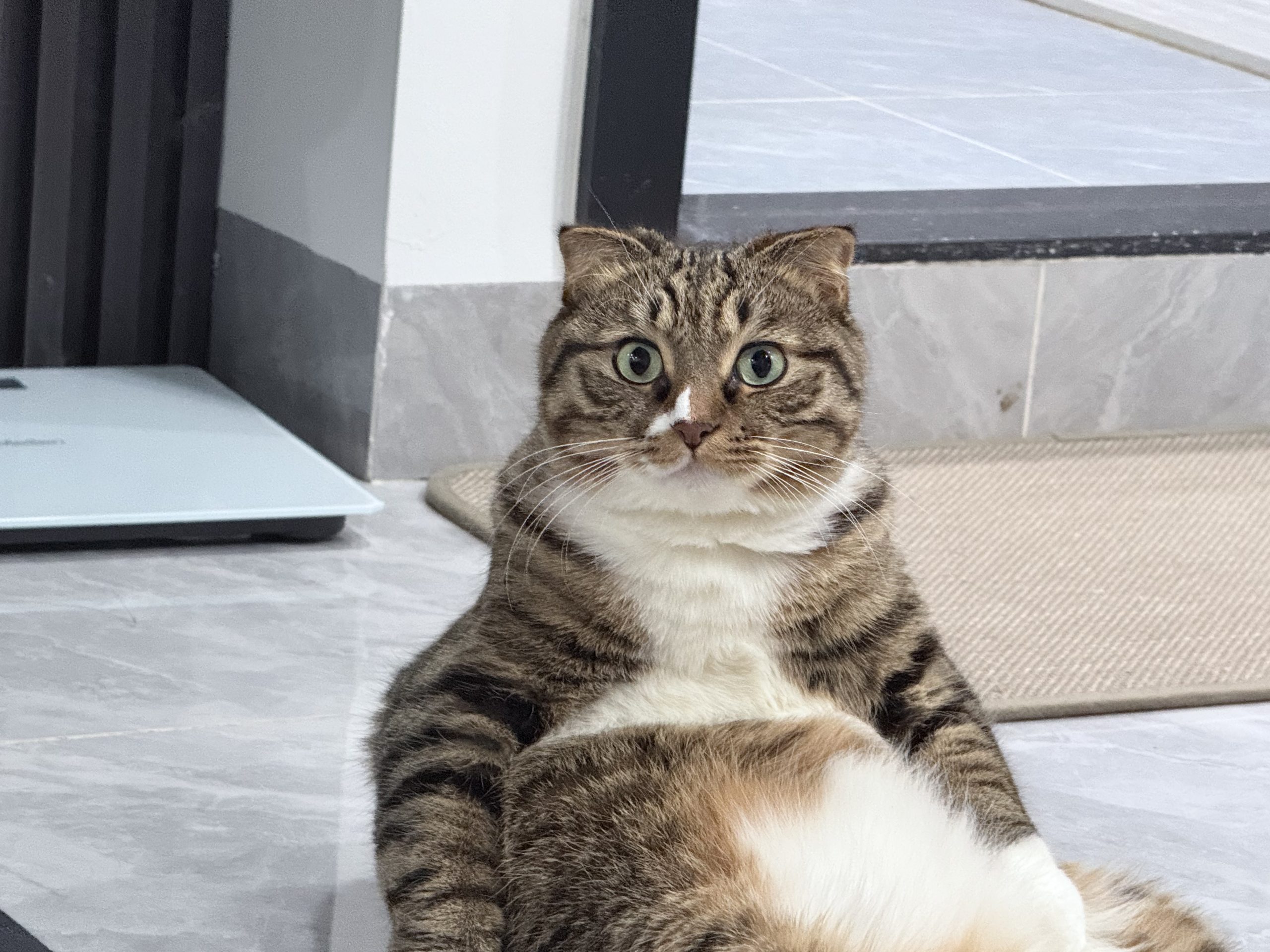 e36911aad746f6c1a8d161ef3c0ed63